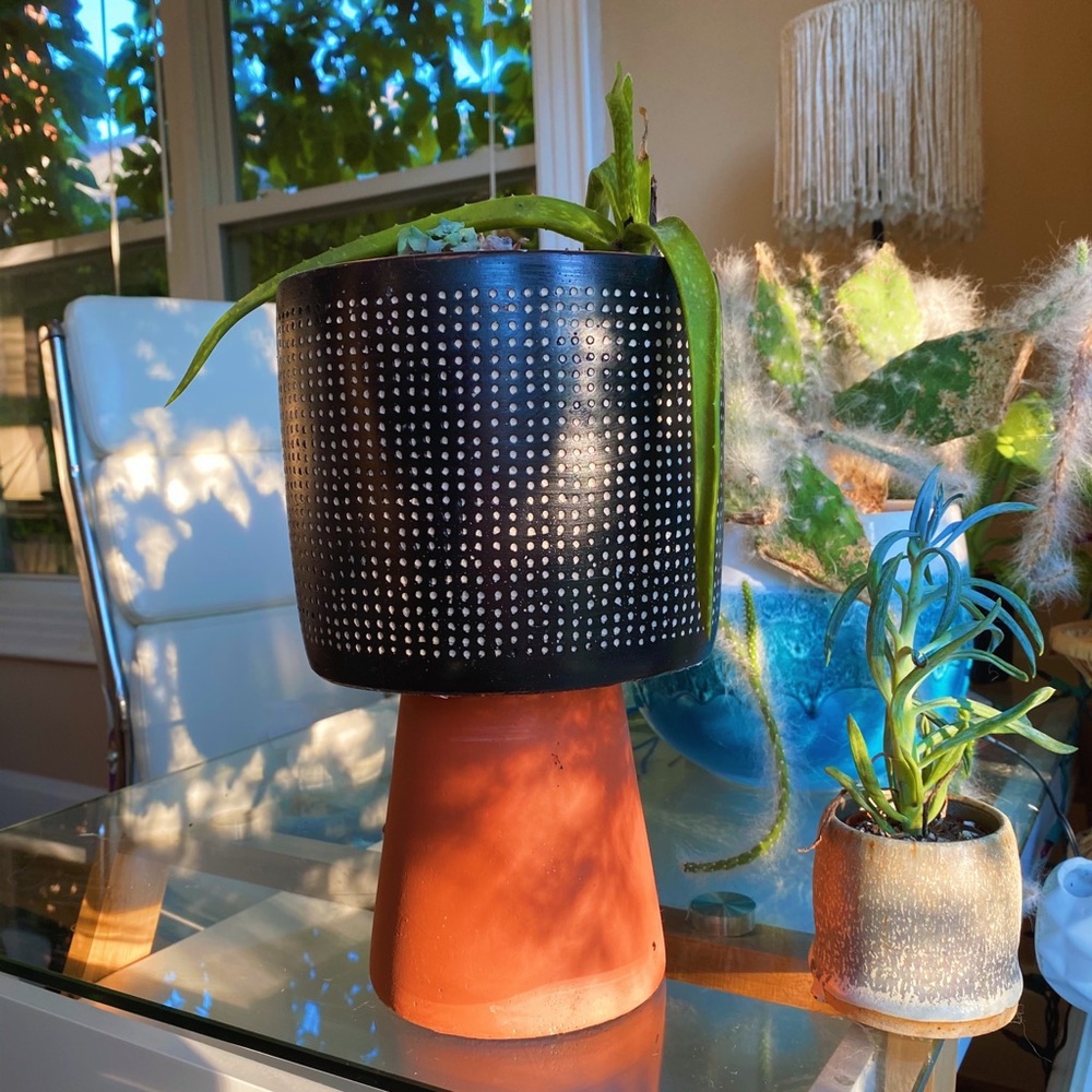Handmade By Me Planter Terracota Dot 🔮 - Picture 16 of 16